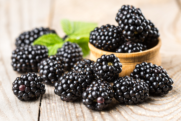 Blackberry Benefits According to Ayurveda Joyful Belly School