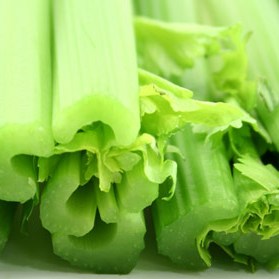 Celery Stalk Benefits (According to Ayurveda) - Joyful Belly School of ...