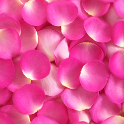 Organic Food Grade Rose Petals