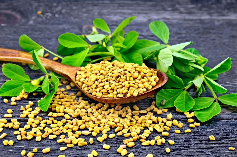 Fenugreek Benefits According To Ayurveda Joyful Belly College Of