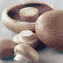 Portobello Mushroom Benefits According to Ayurveda