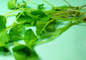 Ayurveda Brahmi  Ghee (9oz) Stem / Bark